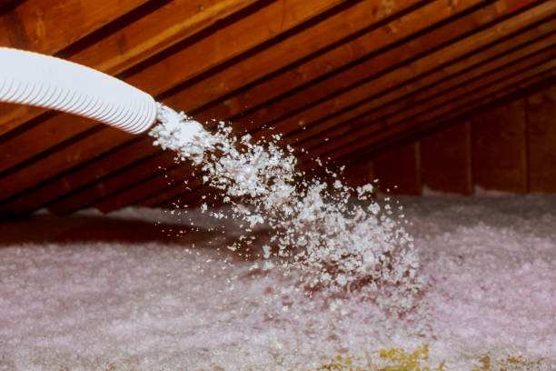Best Insulation Maintenance and Repair in Montrose, PA